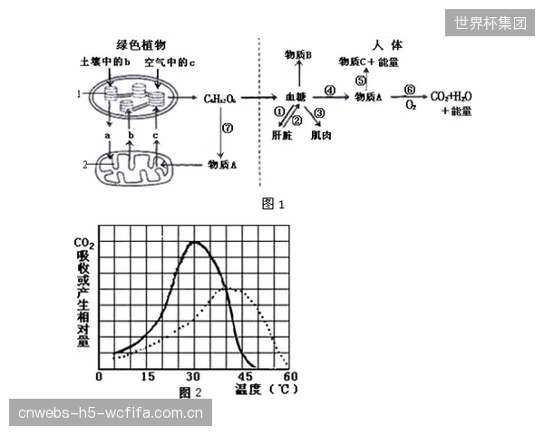 斥巨资引入抗盐雾疏水膜镜头，却忽视了后端传输和存储系统的短板，导致整体转播质量提升有限，这是典型的集成失误